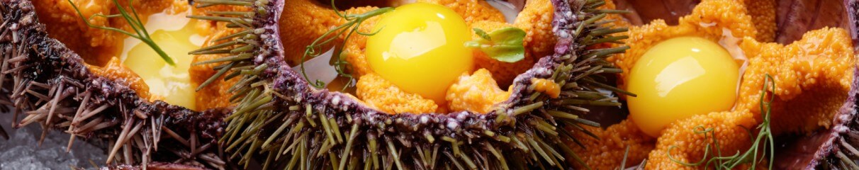 The freshest sea urchins!