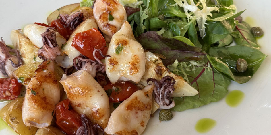 Italian squid