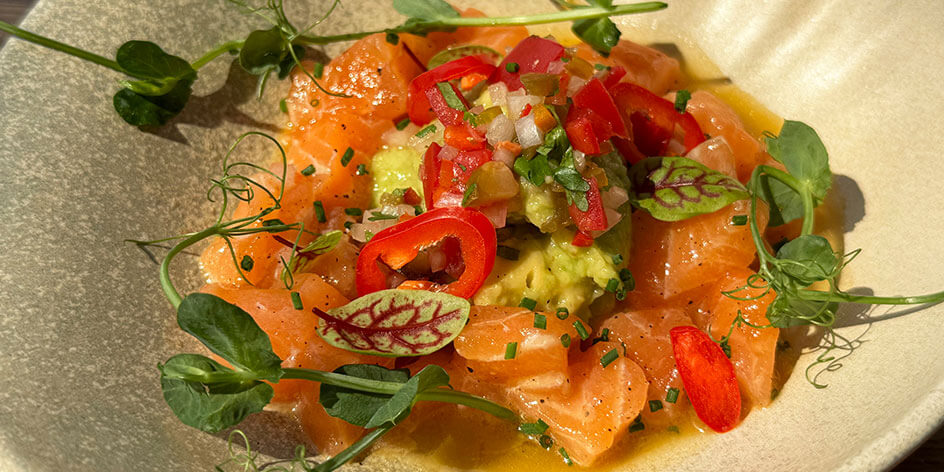Murmansk salmon ceviche